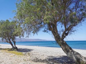 Strand in der Nähe - Baugrundstück am Strand von Tavronitis auf Kreta zu verkaufen