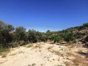 Garten und Umgebung - Villa mit Studio bei Maleme auf Kreta zu verkaufen