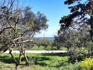 Blick zum Meer - Baugrundstück mit Meerblick bei Maleme auf Kreta zu verkaufen