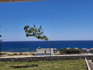 Almira Beach House Apartments - Bild 02