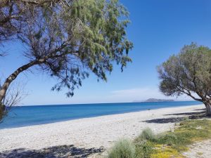 Strand mit Tamarisken - Grundstück am Meer bei Tavronitis auf Kreta zu verkaufen