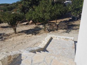 Hof mit Olivenbäumen - Villa mit Studio bei Maleme auf Kreta zu verkaufen