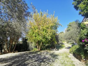Üppiger Garten - Landhaus mit Olivenhain bei Maleme auf Kreta zu verkaufen