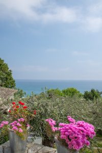 Garten mit Bougainvillea - Chorefto Ferienhäuser am Aeolos Pilion