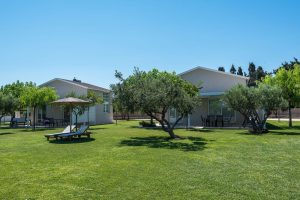 Garten mit Olivenbäumen - Ta Spitakia Kos