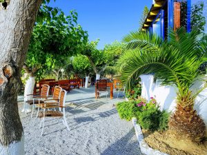 Garten mit Palmen - Plakias Bay Hotel Plakias Kreta