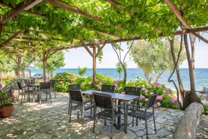 Innenhof unter Weinlaub - Hotel Cleopatra Chorefto Pilion