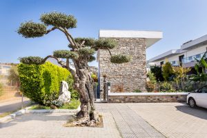 Garten - Village Esperia Potos Thassos