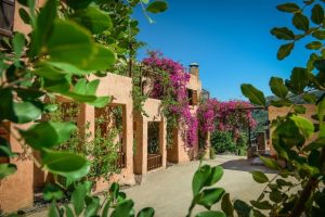 Garten mit Blumen - Enagron Öko-Dorf Axos Kreta