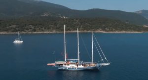 MS Artemis - Bild 01