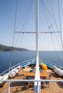 MS Artemis - Bild 02