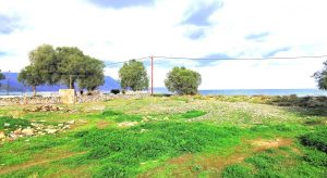 Grundstück direkt am Strand - Grundstück am Strand bei Kissamos auf Kreta zu verkaufen
