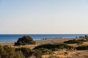 The Perfect Beach House - Bild 04b