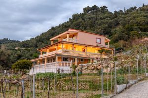 Tolis Studios und Apartments - Bild 04
