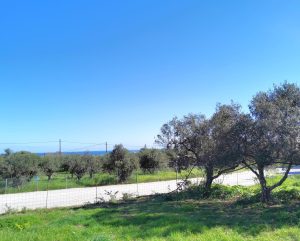 Grundstück an der Straße - Baugrundstück mit Meerblick bei Maleme auf Kreta zu verkaufen