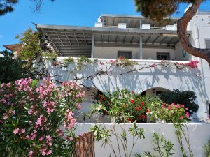 Villa Arni Studios & Apartments - Studio Gartenblick - Bild 06