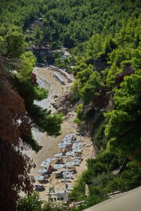 Alonissos Beach Bungalows & Suites in Chrysi Milia