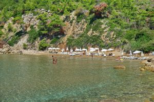 Alonissos Beach Bungalows & Suites in Chrysi Milia