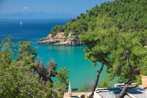 Alonissos Beach Bungalows & Suites in Chrysi Milia