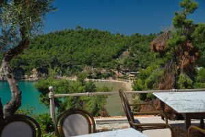 Alonissos Beach Bungalows & Suites in Chrysi Milia