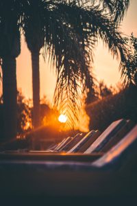 Sonnenuntergang zwischen Palmen – Zoe Seaside Resort, Gialova