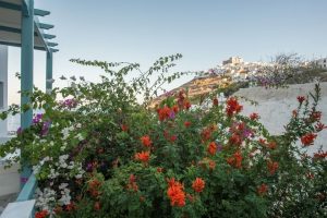 Aphrodite Studios, Chora, Astypalea