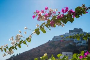 Aphrodite Studios, Chora, Astypalea