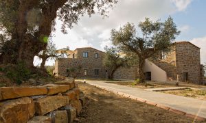Bild 4 - Afentiko Pigadi Methoni
