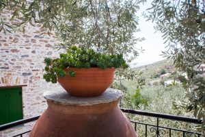 Blick über den Garten – Villa Ioanna, Ano Gatzea, Pilion