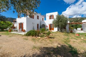 Die Anlage Blue Fish in Platis Gialos mit Garten und Olivenbäumen - – Blue Fish Sifnos, Platis Gialos