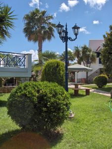 Garten mit Olivenbäumen – Paris Village, Chrani