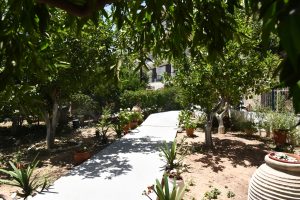 Garten – Tolo, Peloponnes