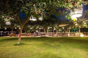 Garten mit Bäumen – Zoe Seaside Resort, Gialova