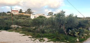Visualisierung des Gartens - Baugrundstück auf Akrotiri bei Chania auf Kreta zu verkaufen