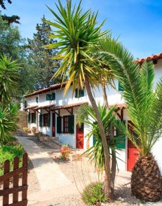 Häuser im Olivenhain Glyfada Greek Villas Paxos