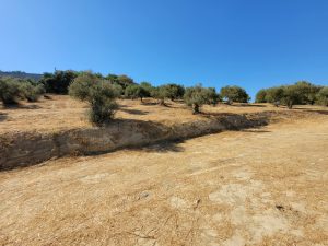 Ebenes Baugrundstück - Baugrundstück mit Baugenehmigung bei Chania auf Kreta zu verkaufen
