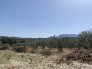 Blick über die Hügel - Baugrundstück bei Kalyves auf Kreta zu verkaufen