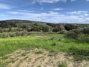 Grundstück mit Aussicht - Baugrundstück bei Kalyves auf Kreta zu verkaufen