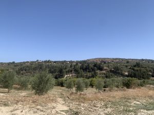 Blick bis zum Meer - Baugrundstück bei Kalyves auf Kreta zu verkaufen
