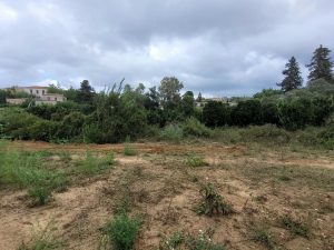 Grundstück mit Garten - Baugrundstück bei Chania auf Kreta zu verkaufen