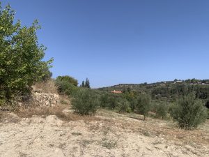 Natur rund um das Grundstück - Baugrundstück bei Kalyves auf Kreta zu verkaufen