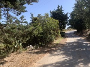 Zufahrtsweg - Baugrundstück mit Meerblick bei Kalyves auf Kreta zu verkaufen