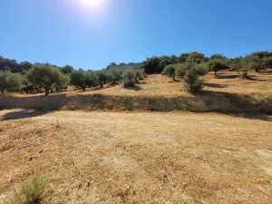 Panoramablick - Baugrundstück mit Baugenehmigung bei Chania auf Kreta zu verkaufen