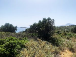 Blick aufs Meer - Grundstück mit Panoramablick auf Akrotiri auf Kreta zu verkaufen