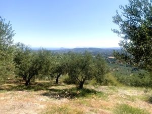 Blick über das Tal zum Meer - Baugrundstück mit Meerblick bei Maleme auf Kreta zu verkaufen