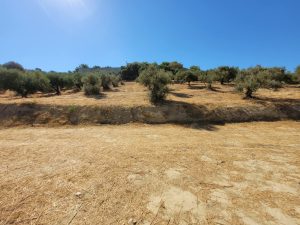 Weite ebene Fläche - Baugrundstück mit Baugenehmigung bei Chania auf Kreta zu verkaufen