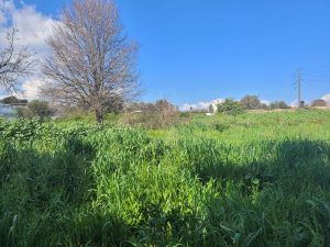 Ebene Fläche - Baugrundstück in Chania auf Kreta zu verkaufen
