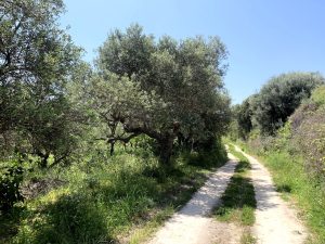 Baugrundstück mit Meerblick bei Kalyves - Immobilie auf Kreta