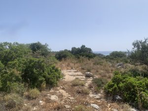 Natur auf dem Grundstück - Grundstück mit Panoramablick auf Akrotiri auf Kreta zu verkaufen