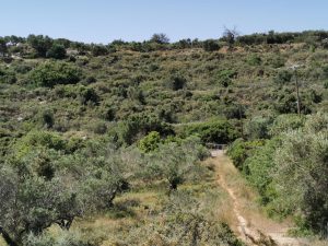 Grünes Grundstück - Grundstück mit Panoramablick auf Akrotiri auf Kreta zu verkaufen